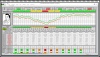 Asthma COPD peak flow Monitor